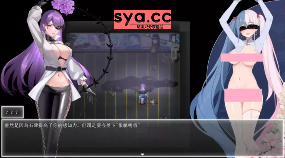 夜幕之花Night Bloom存档