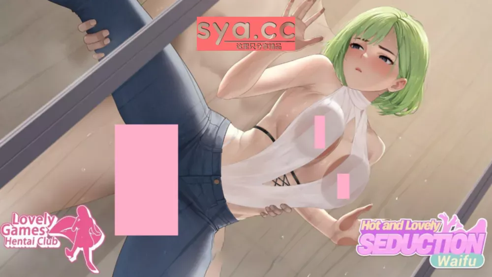 性感可爱的人们Lovely Puzzle Girls攻略