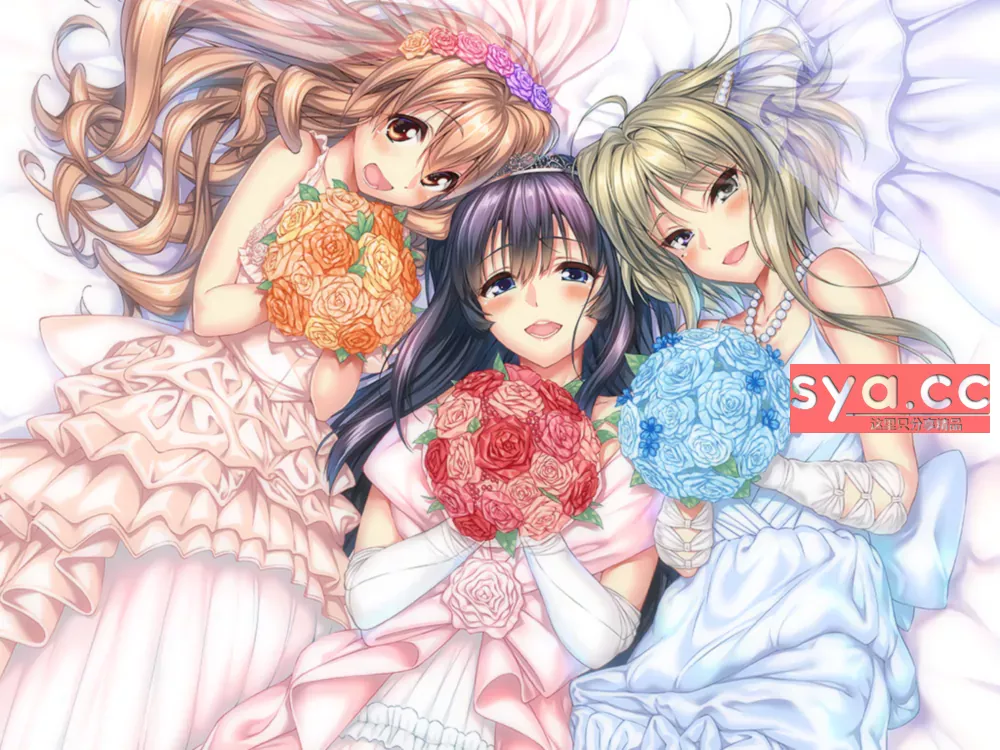 甜蜜女友アマカノ存档