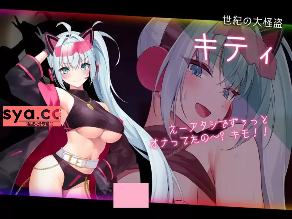 盗贼猫的记录 ドロケイ下载