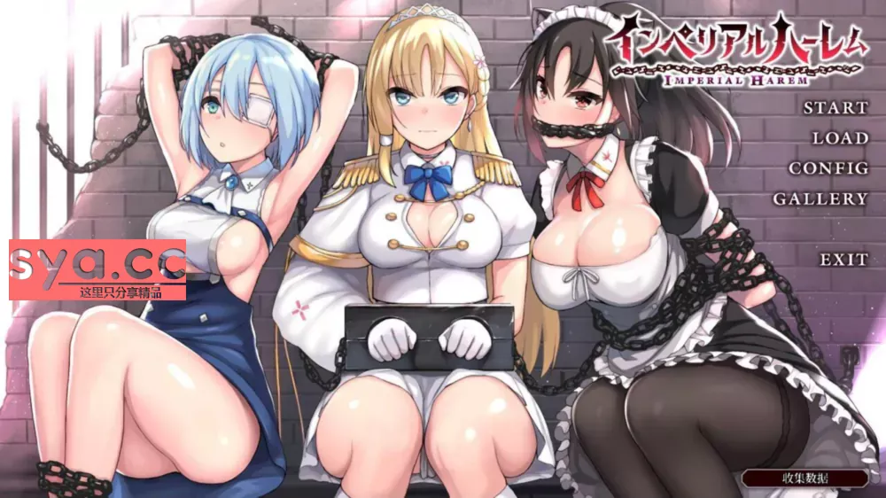 帝国后宫ImperialHarem中文汉化