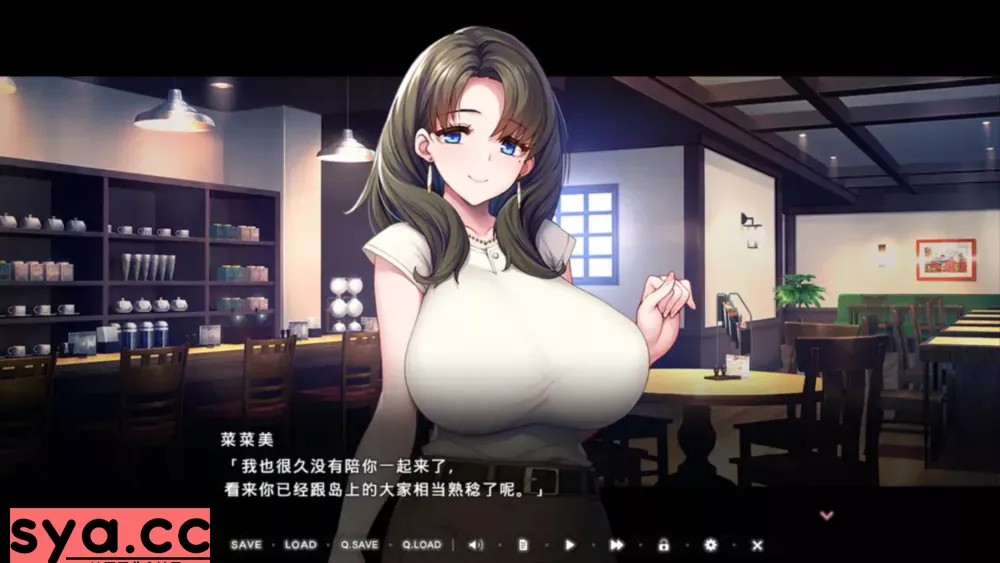 炙热的岛国生活存档