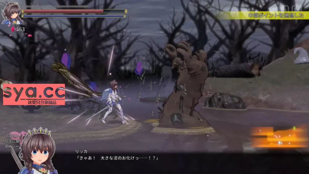 圣骑士莉卡物语:白翼与暗翼姐妹存档