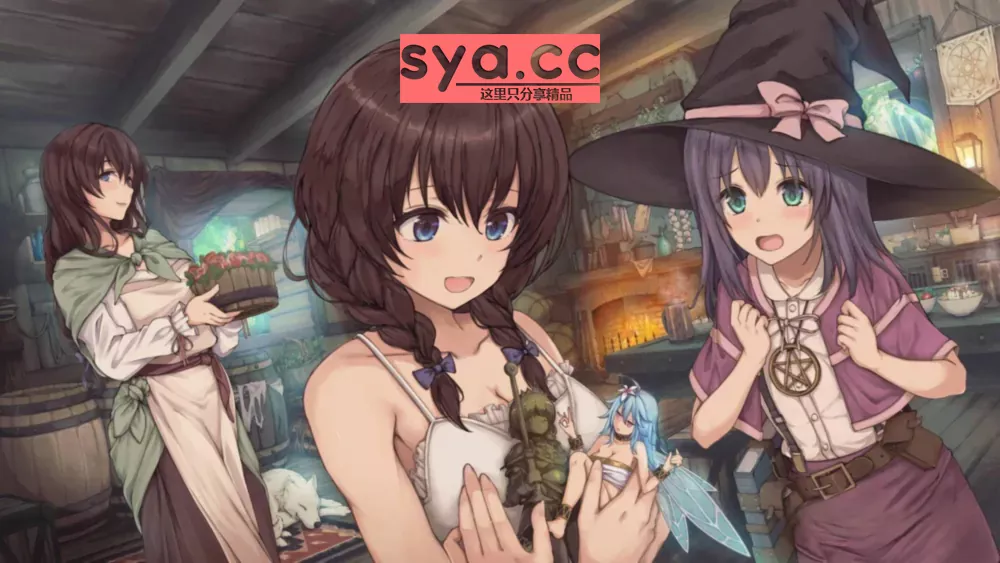 圣骑士莉卡物语:白翼与暗翼姐妹攻略