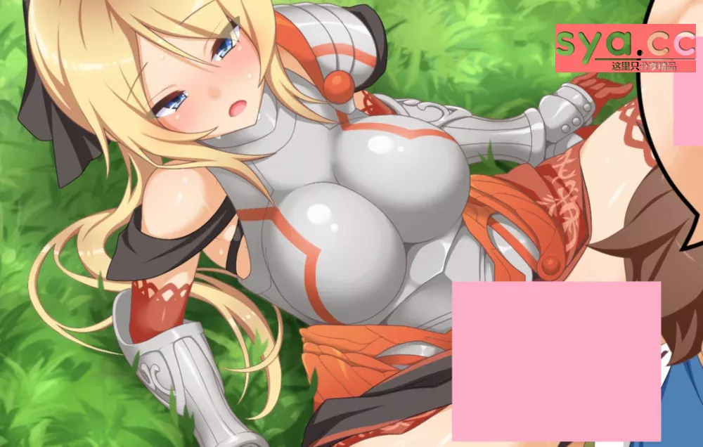 神彩乙女~窥视色彩的商人下载