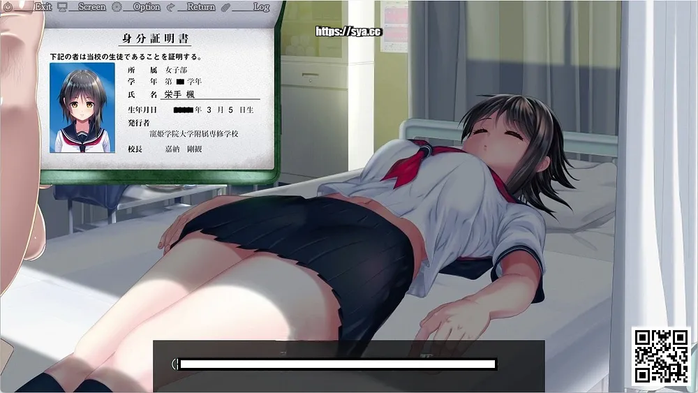 妖梦员：梦魇制造者存档